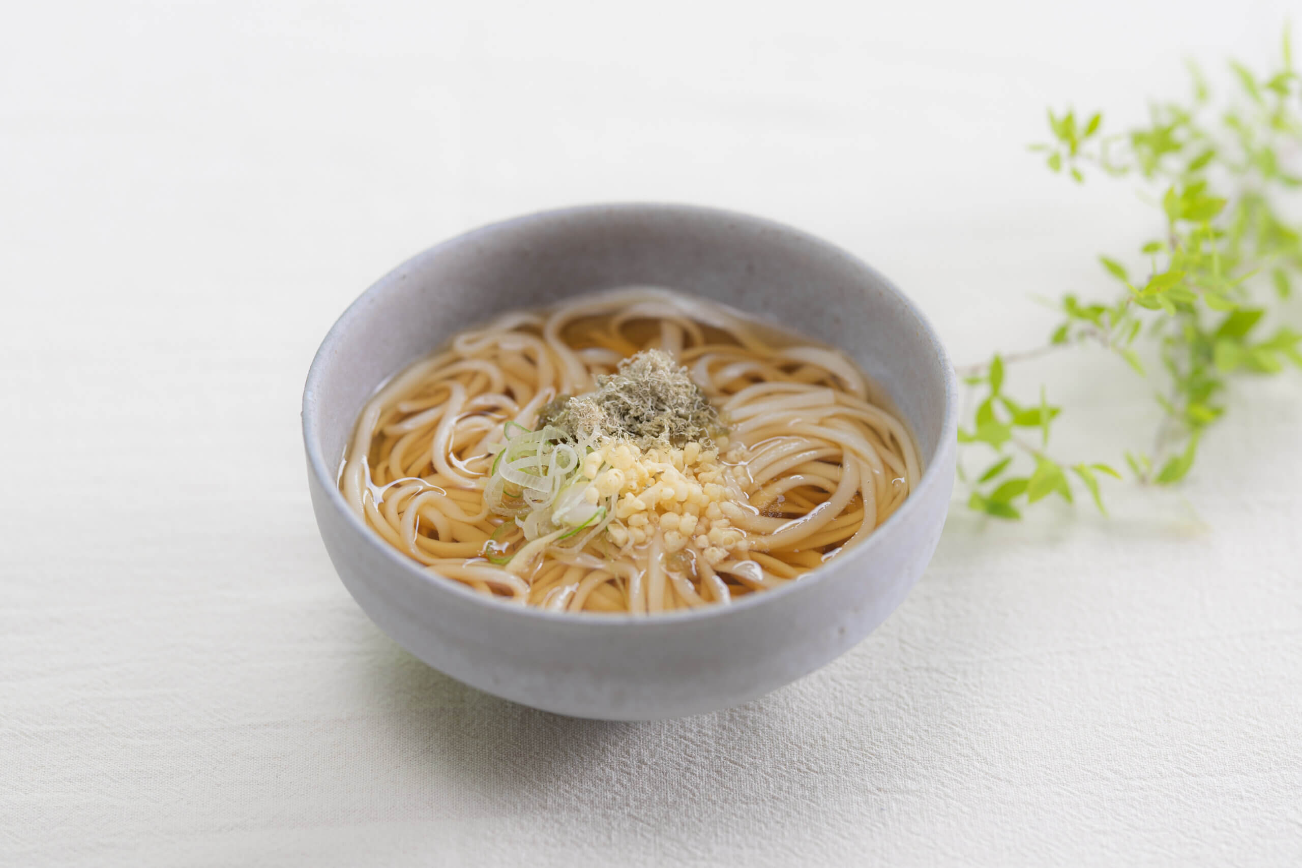 氷見うどん
